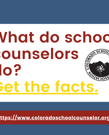 What do School Counselors Do? Get the facts here