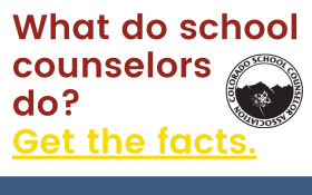 What do School Counselors Do? Get the facts 